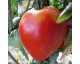 Tomate Coeur de boeuf Tomate Coeur de boeuf