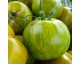 Tomate green zebra Tomate green zebra